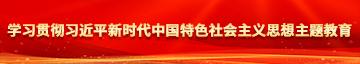 美女逼操白逼学习贯彻习近平新时代中国特色社会主义思想主题教育